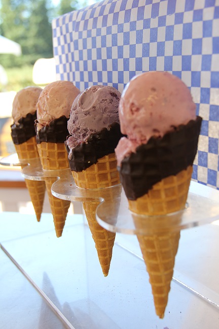 Krause Berry Farms Ice Cream