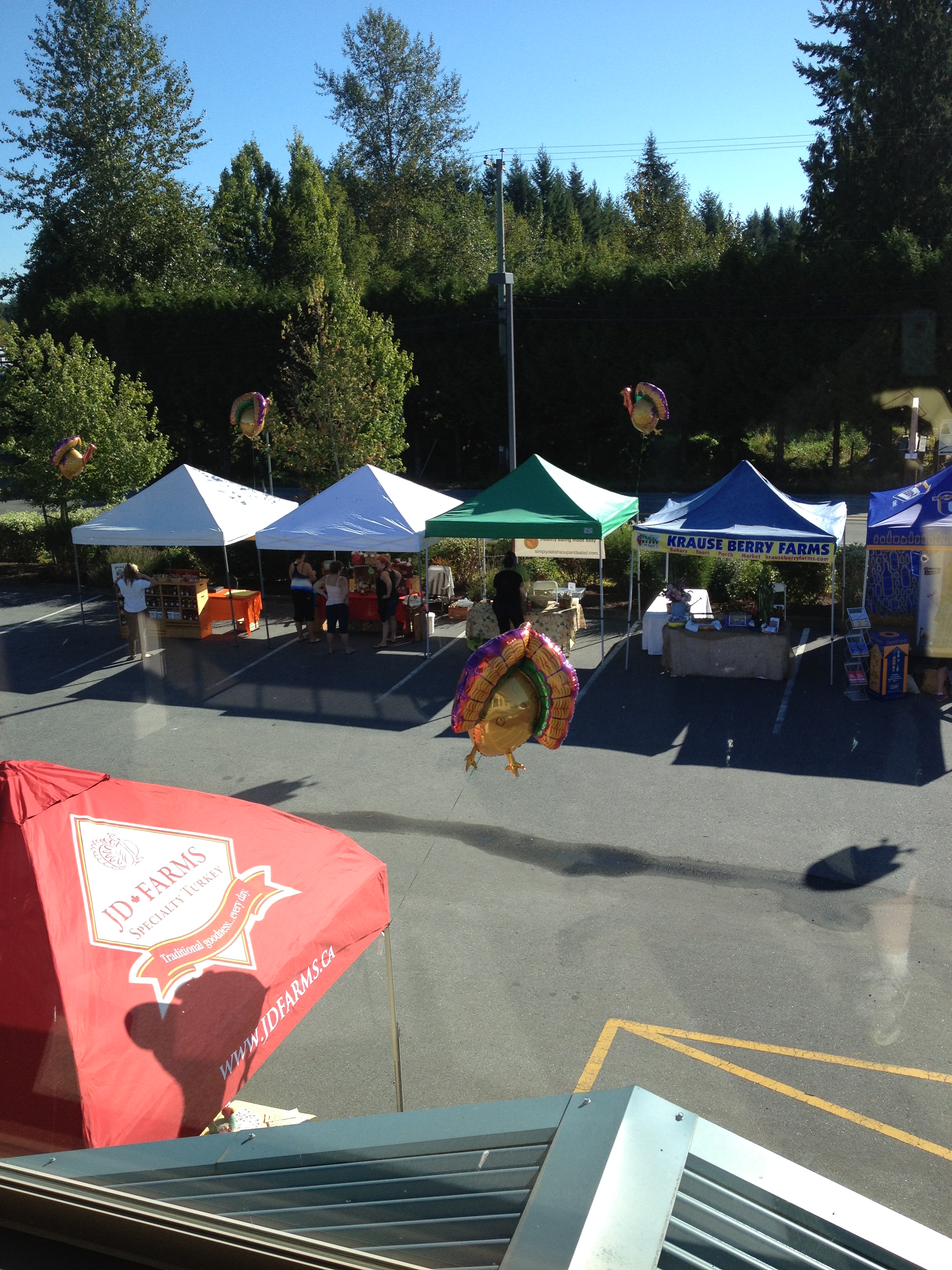 JD Farms 10th Annual Fall Festival Event